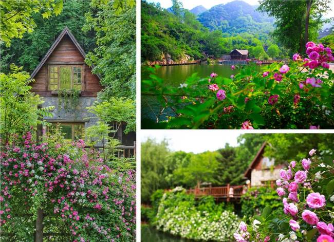 《奔跑吧》空降九如山，在中国最浪漫的木屋休闲度假聚落浪漫集结