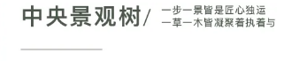 济南中海首个定制级隐奢示范区——九樾府惊艳开放，匠心品质不负久望