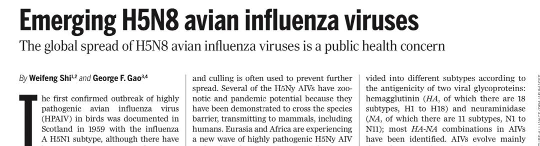 史卫峰、高福等专家：新发的H5N8禽流感病毒可造成人感染，须引起重视