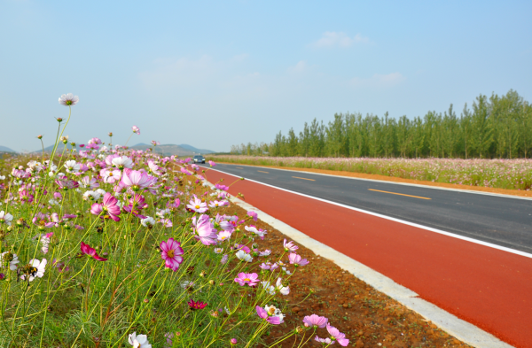 临沂“爱尚沂南 红色之旅”环线获评2020中国“十大最美农村路”