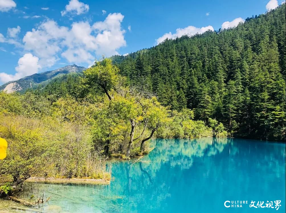 嘉华旅游|错峰出游，安心沉醉“人间天堂”九寨沟