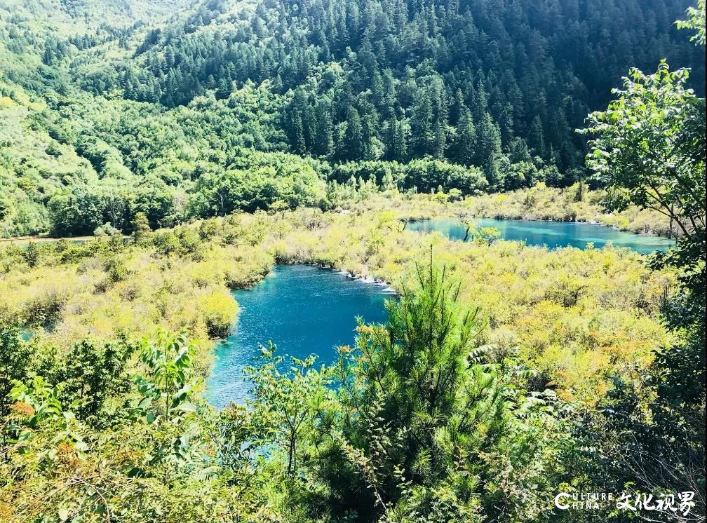 嘉华旅游|错峰出游，安心沉醉“人间天堂”九寨沟