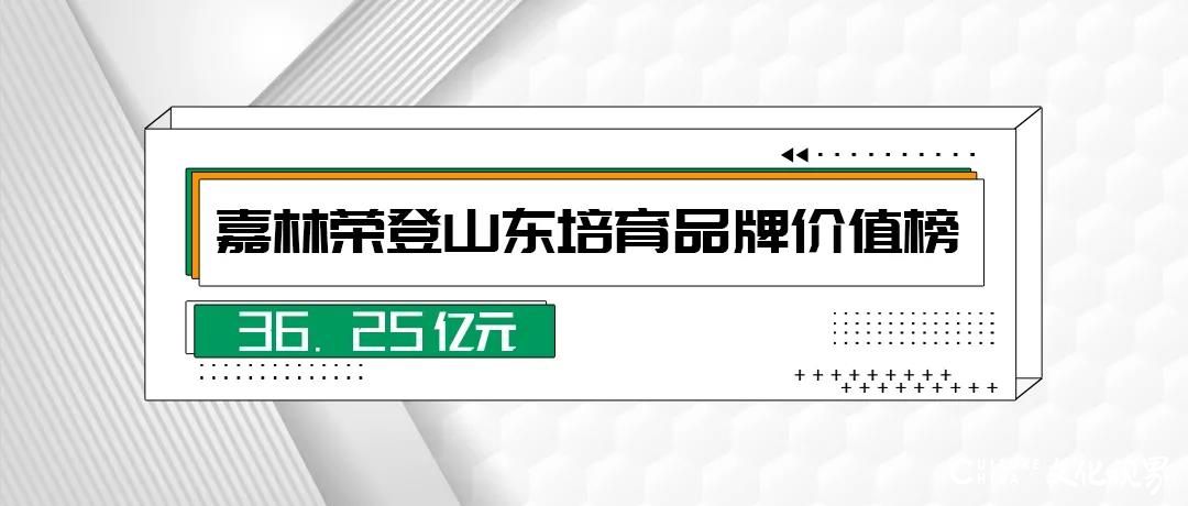 嘉林建设集团品牌价值36.25亿元，入选山东省高端品牌培育企业名单