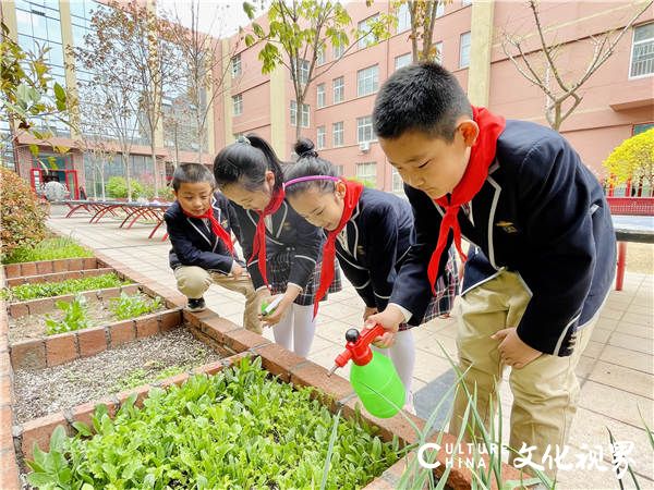 41名中小学生荣获2021年度山东省“新时代好少年”称号