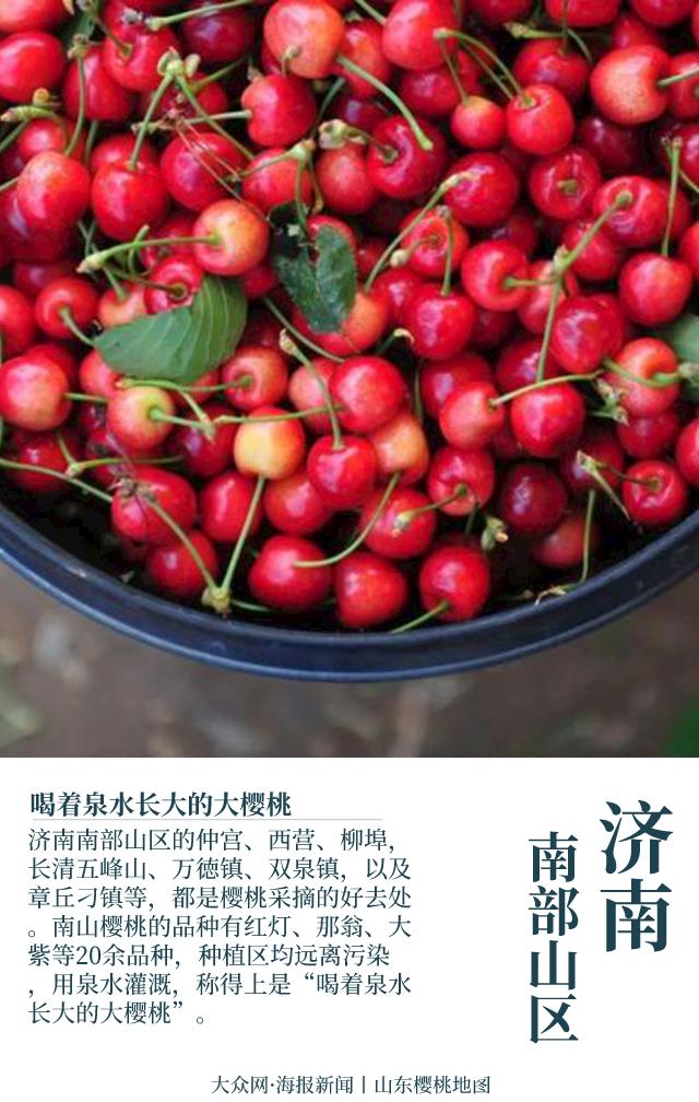 稳占中国樱桃半壁江山，山东樱桃为什么这样“红”？
