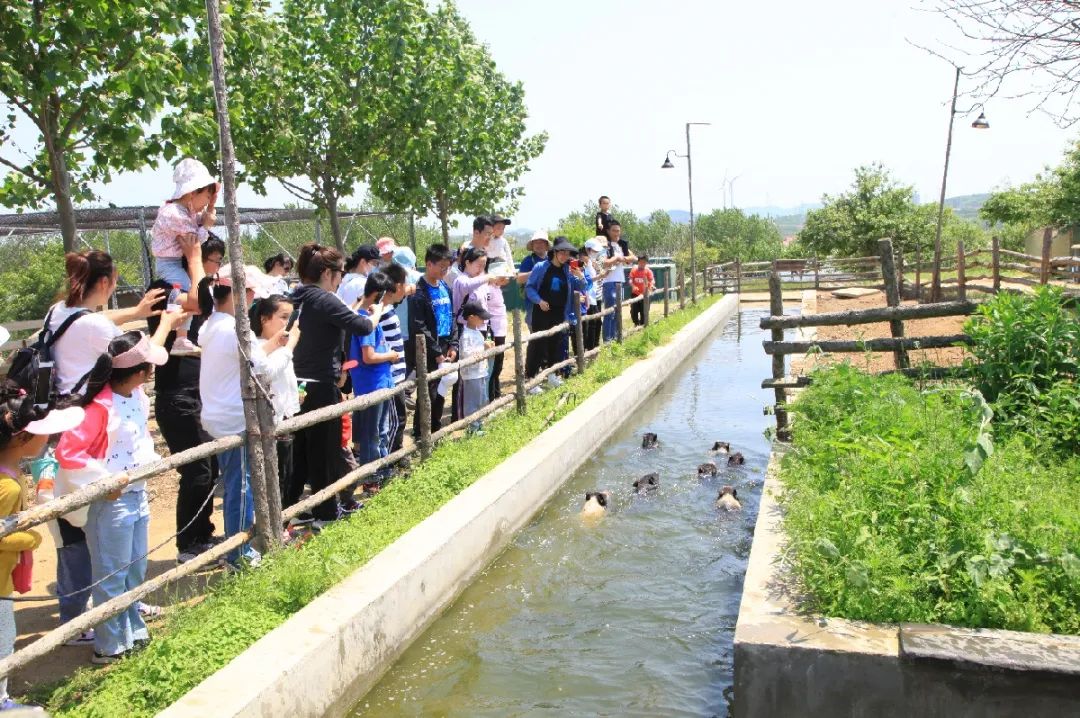 巧妙融合“玩”与“学”，威海文旅为孩子留下一段难忘的成长记忆