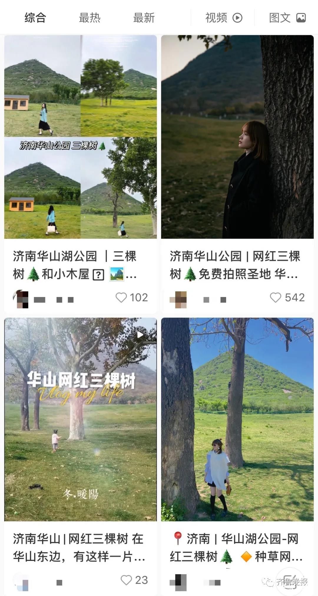 济南华山“三棵树”成网红拍照地，有网友发现神似一幅名画……