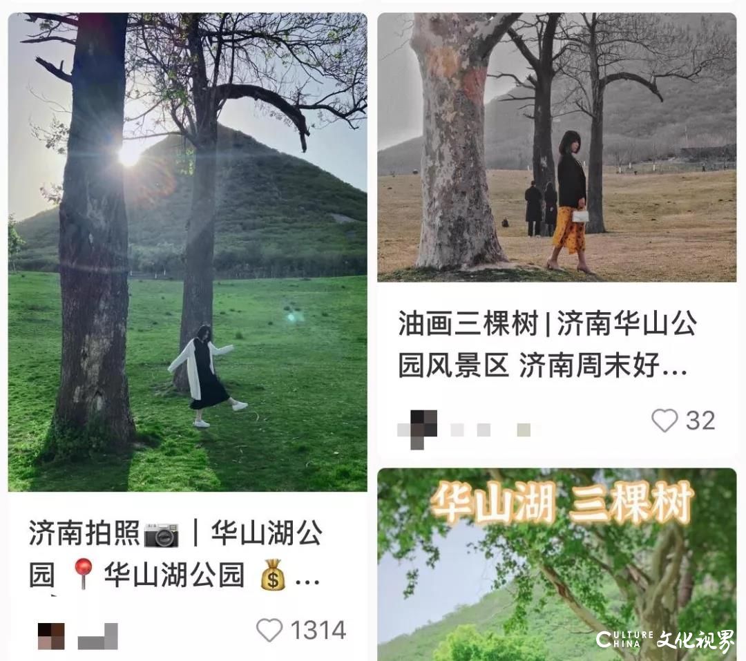 济南华山“三棵树”成网红拍照地，有网友发现神似一幅名画……