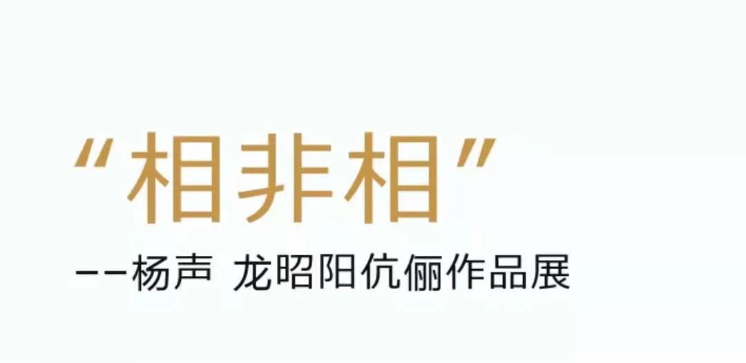 “相非相——杨声、龙昭阳伉俪作品展”在北京开幕，展期至6月13日