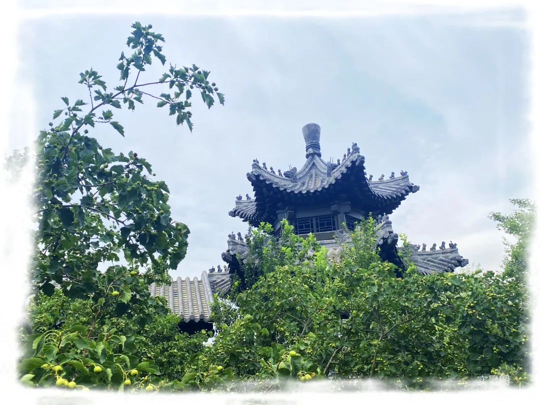 海尔产城创·济南云锦公园景观再升级，唯美湖光画卷映衬一席宜居胜境