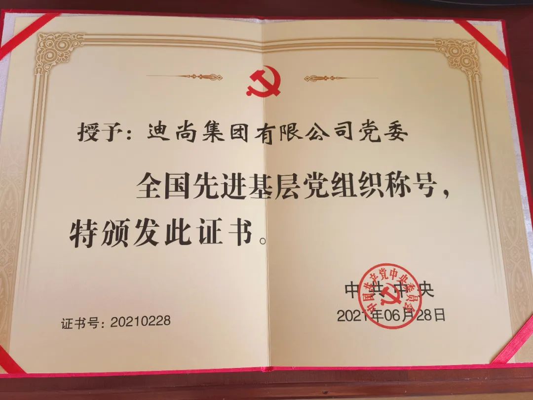迪尚集团有限公司党委荣获“全国先进基层党组织”称号