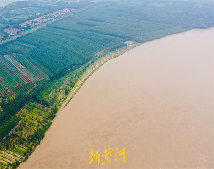 黄河汛前调水调沙最大水头进山东，济南段7月1日迎最大流量