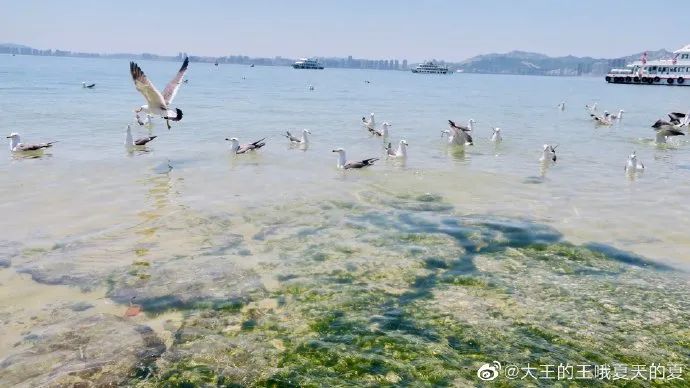 逃离酷暑的“水深火热”，到威海刘公岛享受沙滩森林的清凉夏日