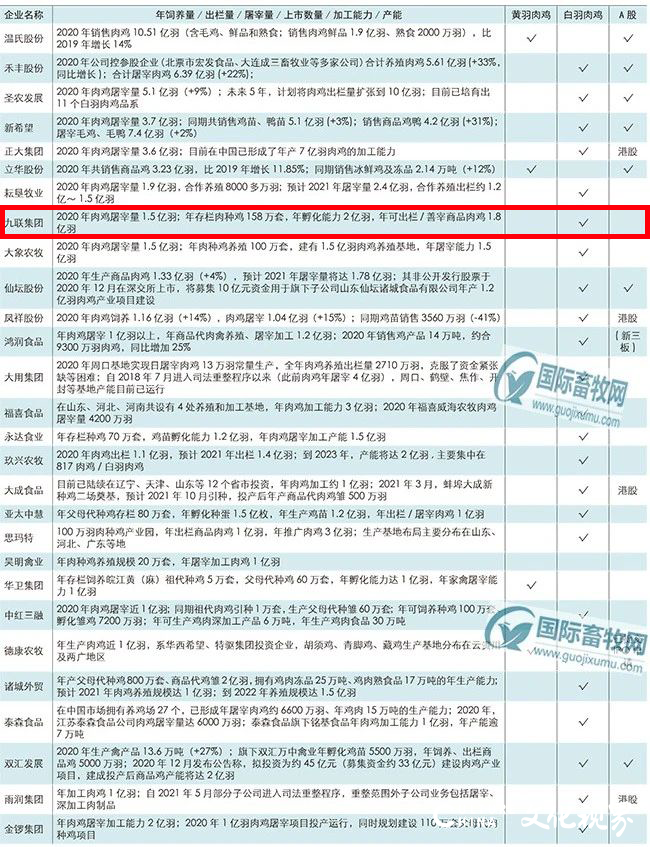 “中国肉鸡企业五十强”发榜，青岛九联集团名列前茅