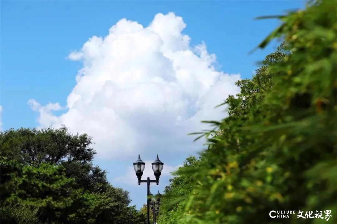 寻迹历史、沙滩漫步、美景欣赏、森林吸氧，炎炎夏日来刘公岛追寻诗意生活