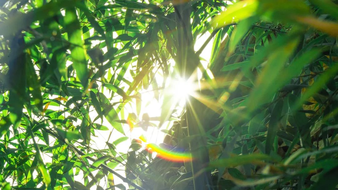 嘉华旅游丨这些地方藏着山东最后的夏天，清爽且美丽