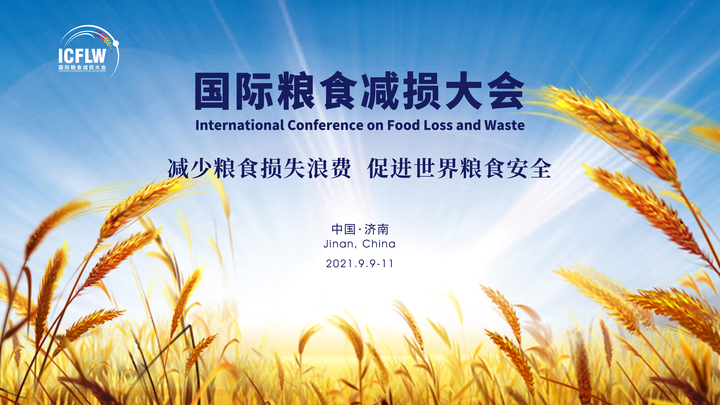世界目光聚焦济南，国际粮食减损大会9月9日将在济南开幕