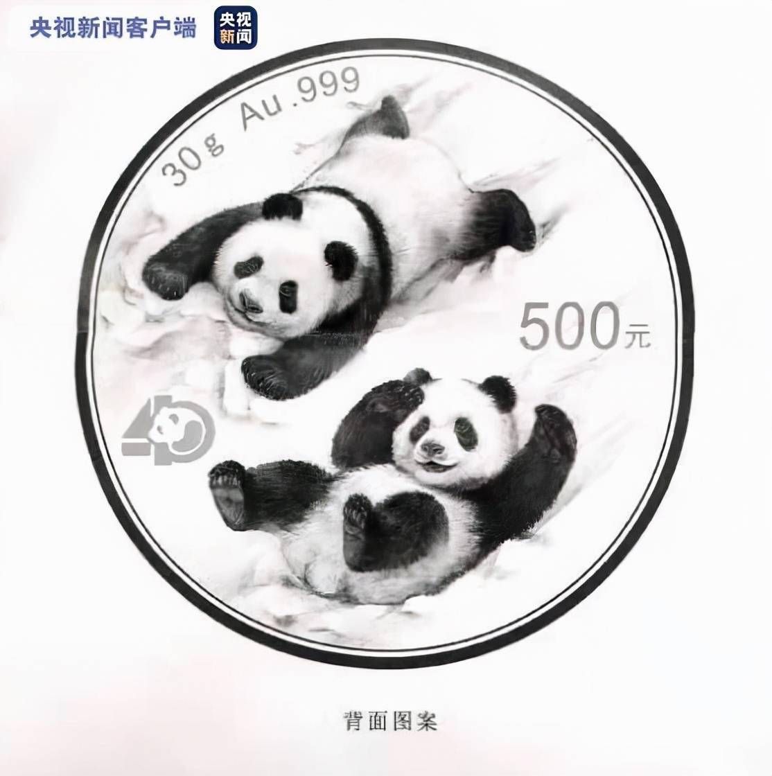 “爱上熊猫爱上雪”——2022版熊猫金币图案发布，以冬奥会为主题