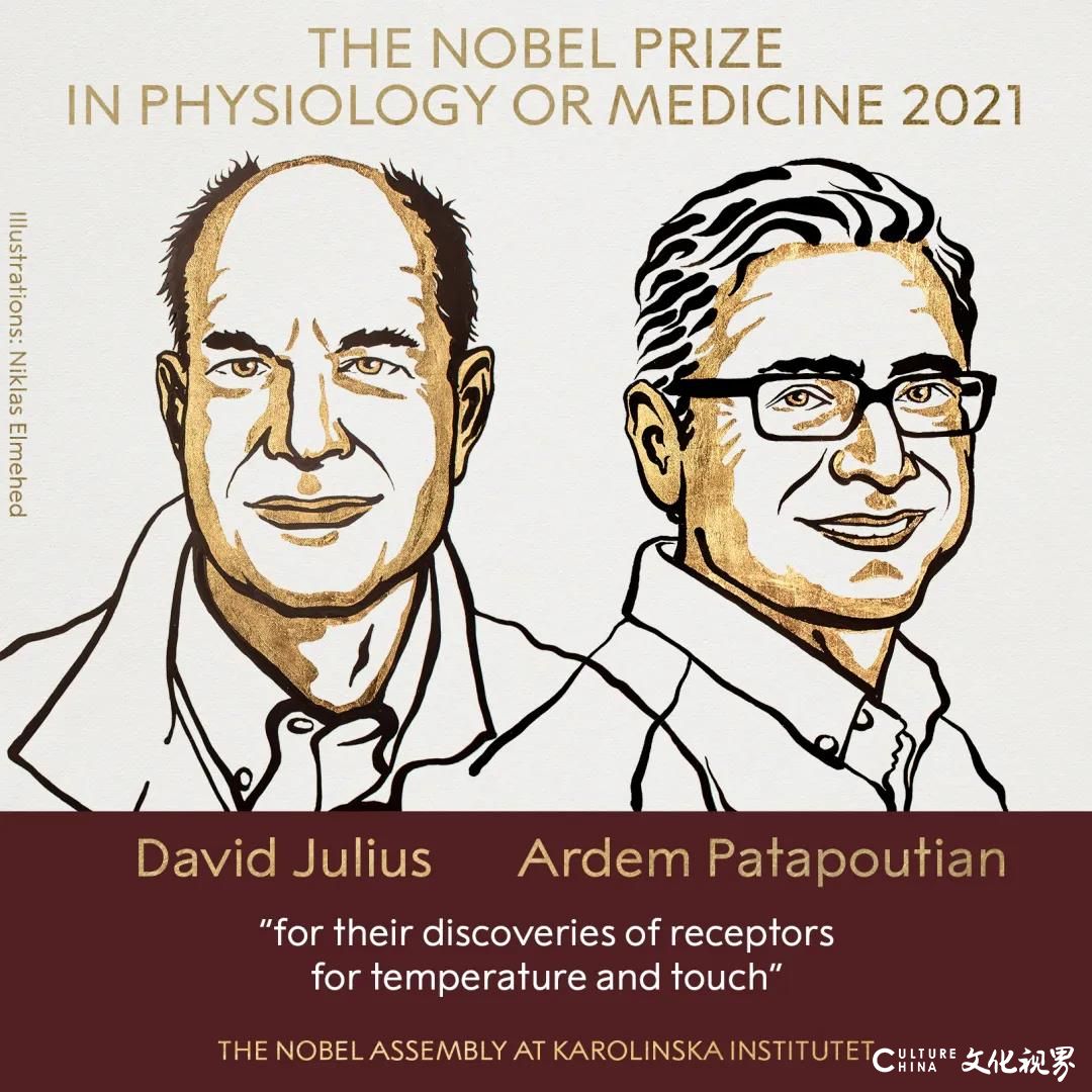 2021年诺贝尔生理学或医学奖揭晓！研究与你有关