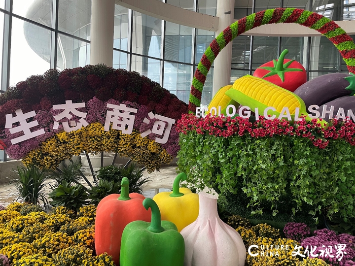 济南花博会主展馆花卉景观多姿多彩，吸引游客争相拍照