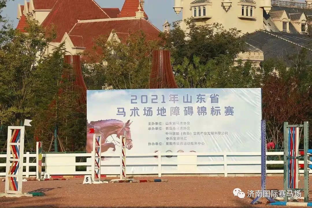 2021年山东省马术锦标赛落幕，骏腾马术俱乐部四位选手载誉而归