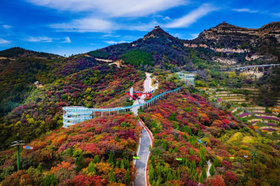 一叶一景一秋韵，嘉华旅游为你绘出山东最全赏红叶地图