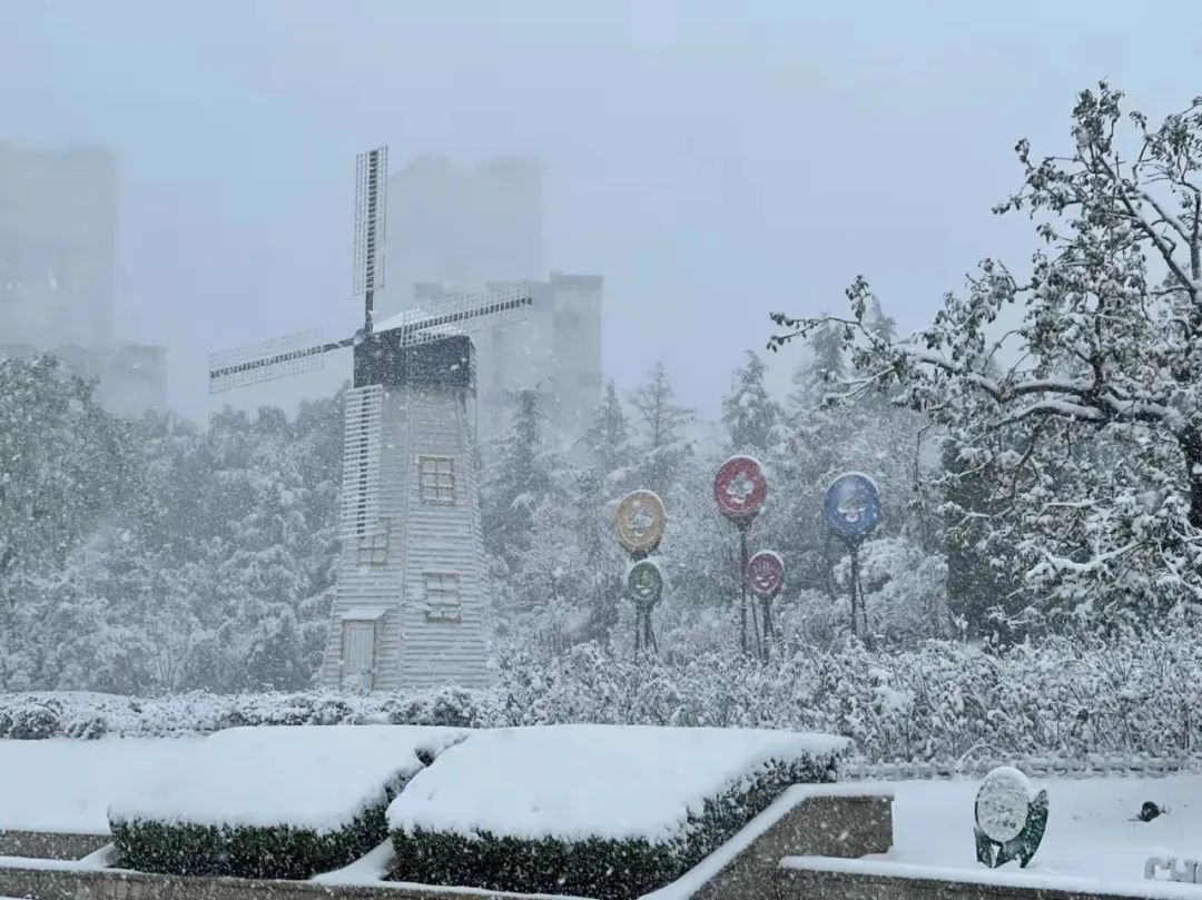 近十年最早初雪降临，雪映泉城奏响冬日恋歌