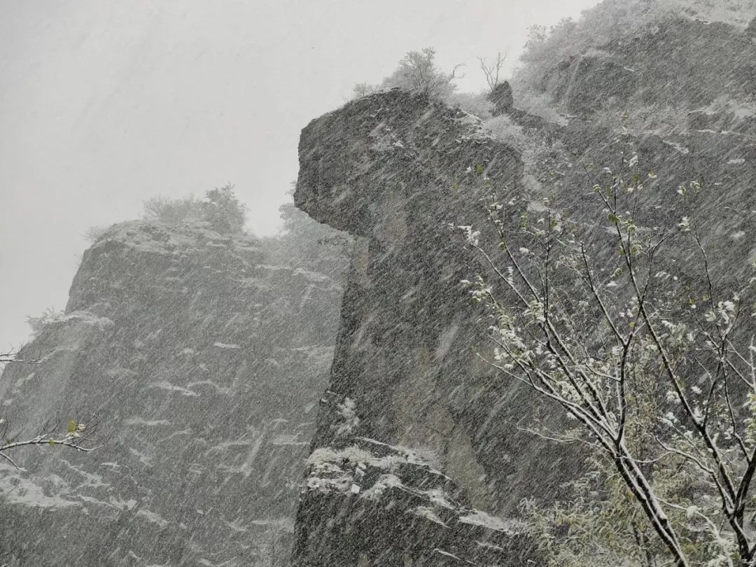 近十年最早初雪降临，雪映泉城奏响冬日恋歌