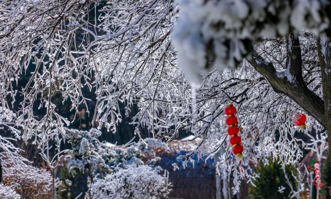近十年最早初雪降临，雪映泉城奏响冬日恋歌
