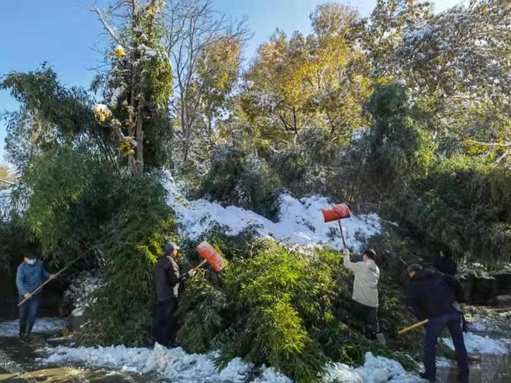 雪后清毕，济南“天下第一泉”风景区今日恢复开放