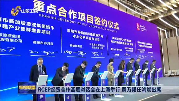 RCEP经贸合作高层对话会在上海举行，山东抢抓机遇打造合作共赢新亮点