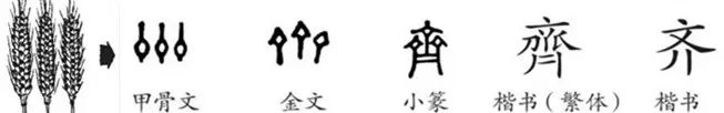 天生自带高端基因，国井唱响一瓶好酒的黄河号子