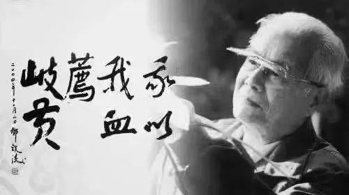 巍巍不老松，悠悠济世情——纪念国医大师邓铁涛诞辰107周年