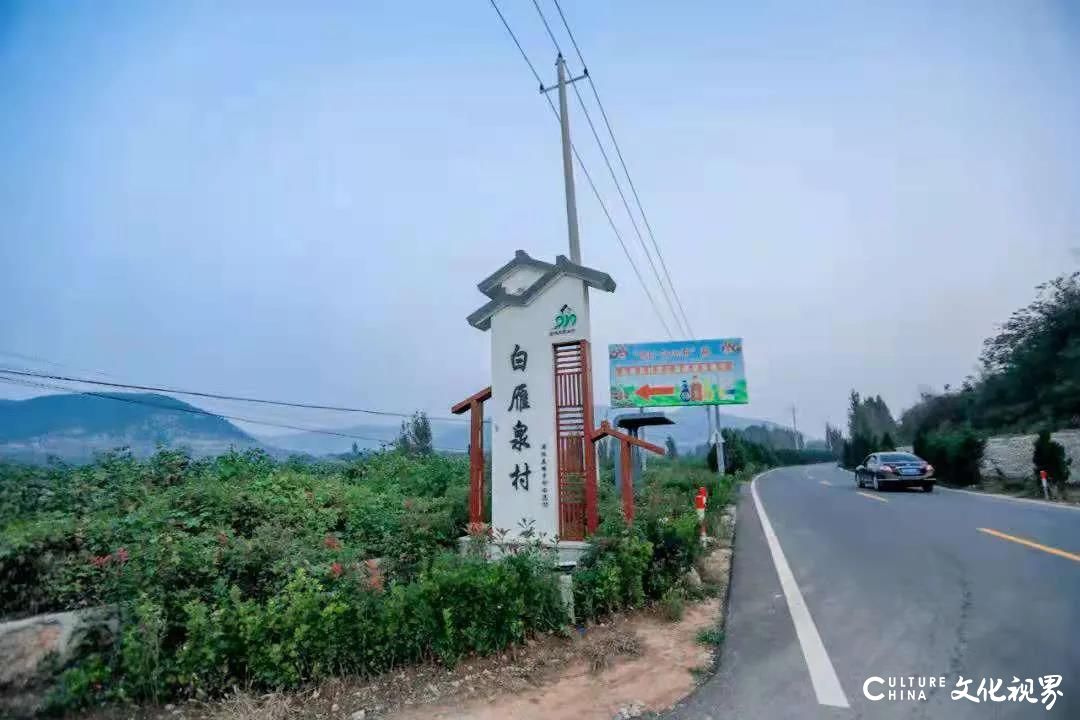 打卡泉城美丽乡村，济南平阴白雁泉村“泉乡”处处皆风景