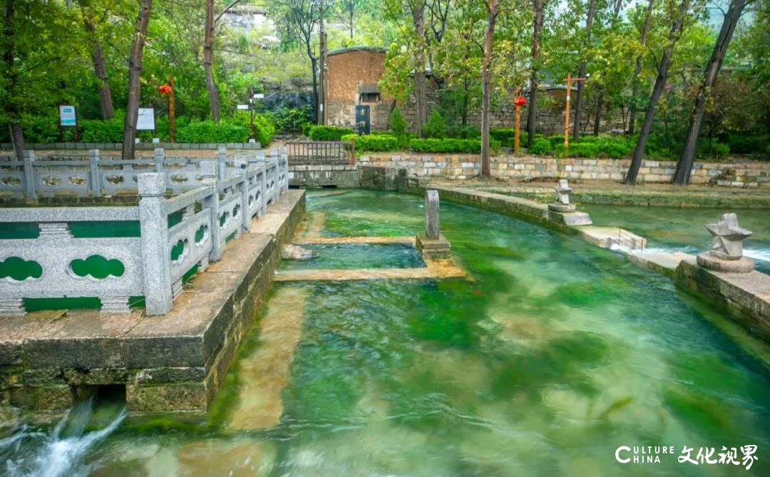 打卡泉城美丽乡村，济南平阴白雁泉村“泉乡”处处皆风景