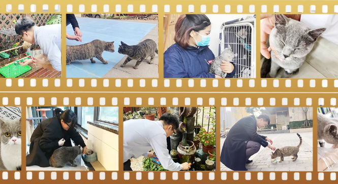 旭辉永升服务“令人心动的管家”与业主宠物的故事温暖上映