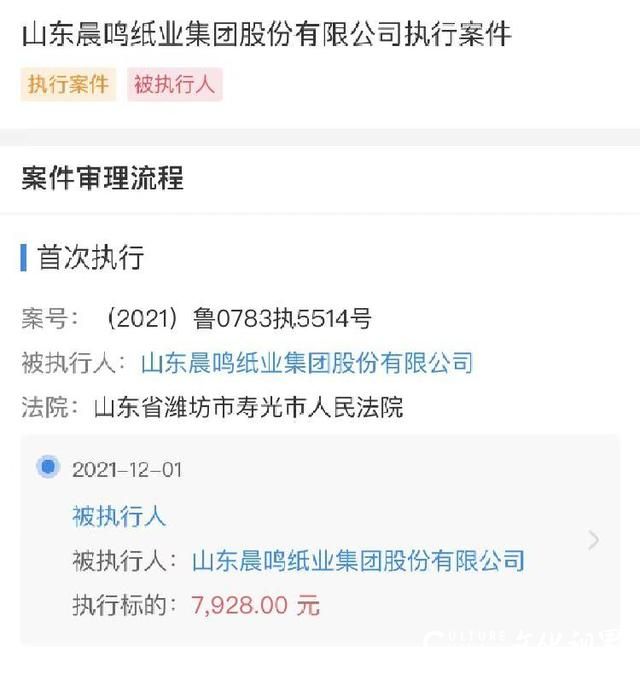 山东晨鸣纸业成被执行人，执行标的7928元