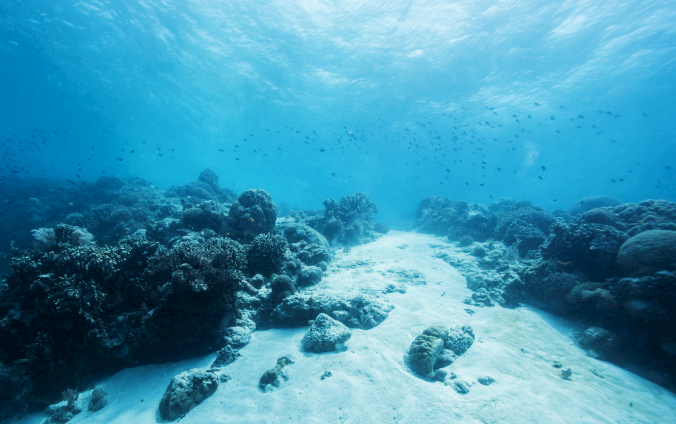 海洋研学＋百年名企，青啤文旅硅藻土研学课程获2021青岛海洋研学旅游设计大赛一等奖