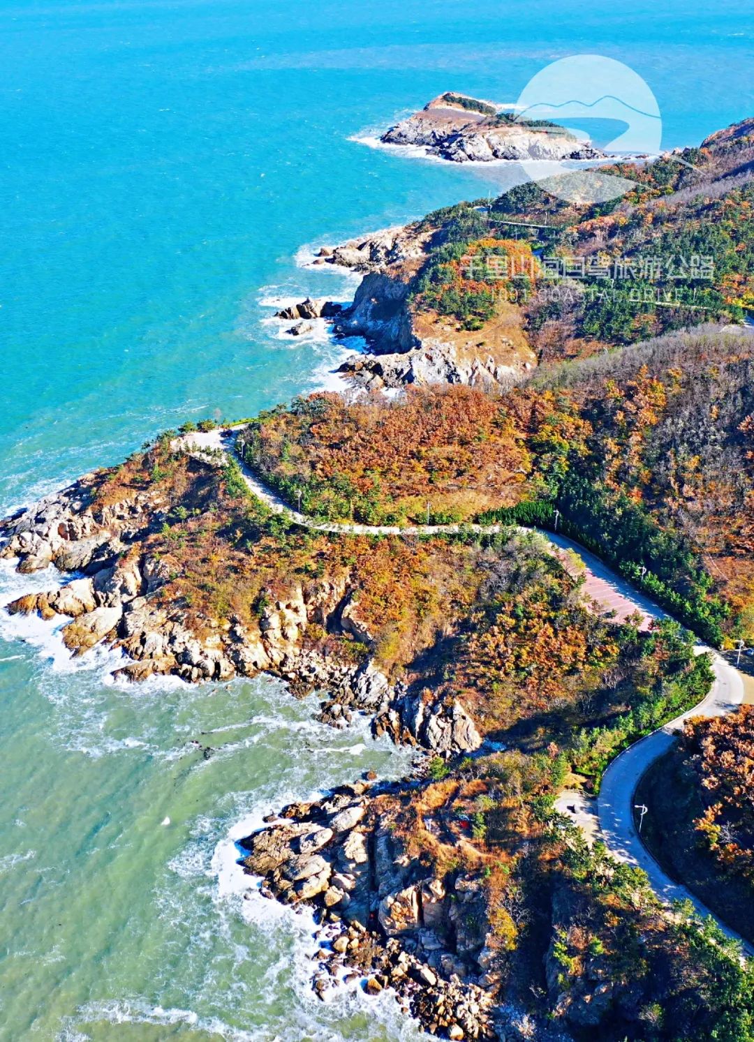 山海美景＋节日盛装，威海旗袍文促会模特队“迎新年山海旗袍秀”热闹又惊艳