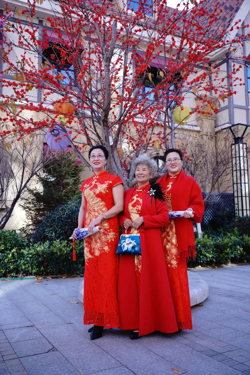 山海美景＋节日盛装，威海旗袍文促会模特队“迎新年山海旗袍秀”热闹又惊艳