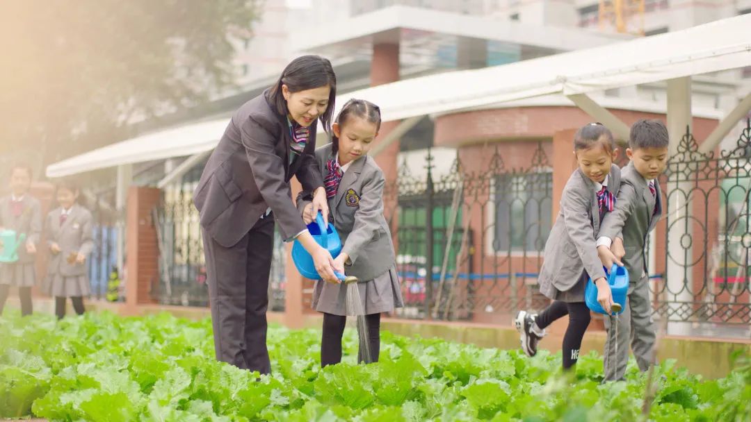 从“广”字看山师齐鲁实验学校宣传升级，传育人佳话