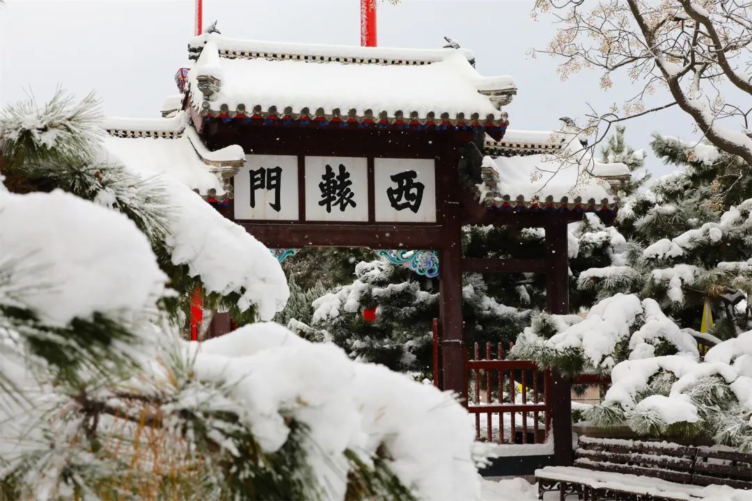 当威海刘公岛遇上雪，浪漫便穿越了百年