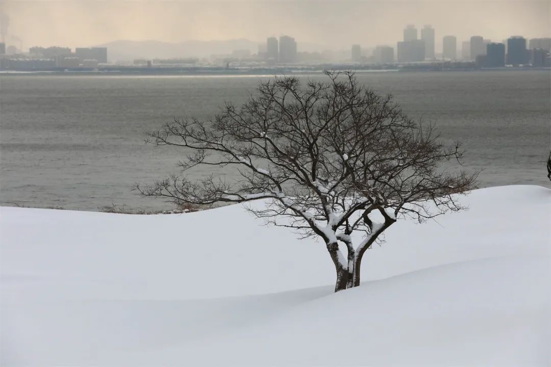 当威海刘公岛遇上雪，浪漫便穿越了百年