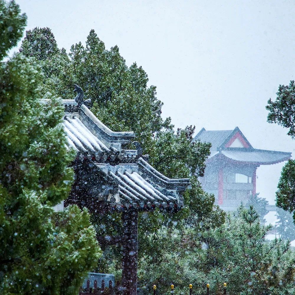 当威海刘公岛遇上雪，浪漫便穿越了百年