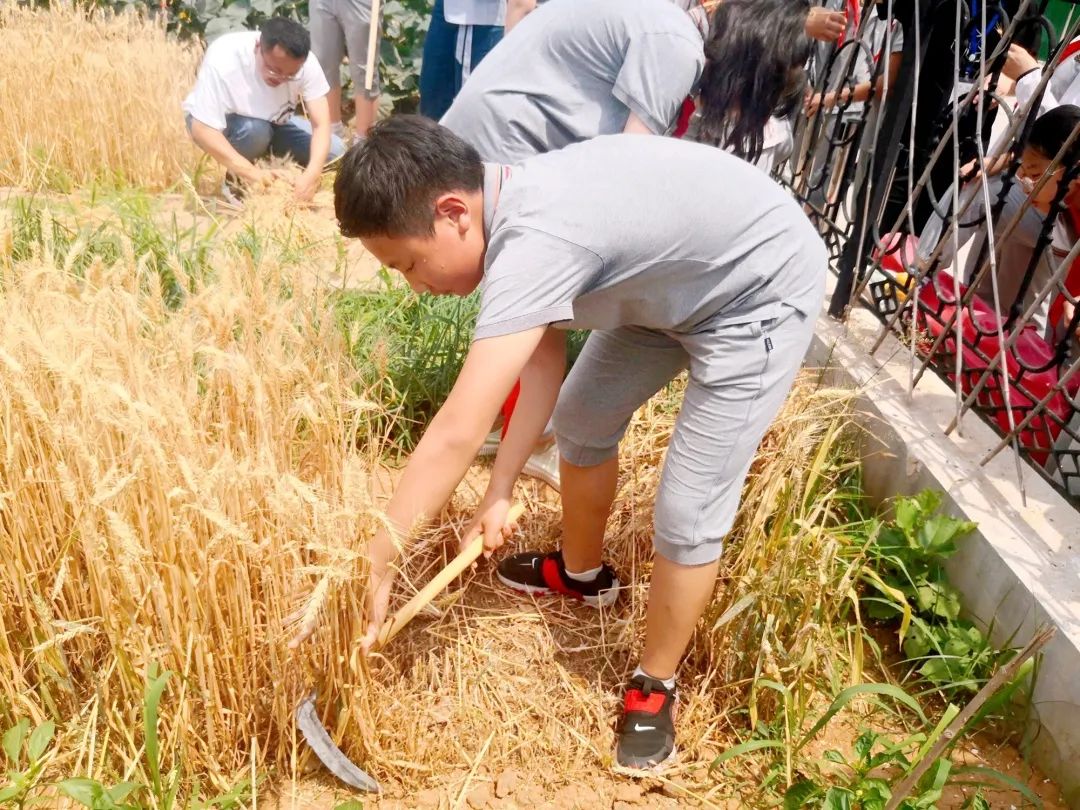 从三“优”，看山师齐鲁实验学校的育人环境升级