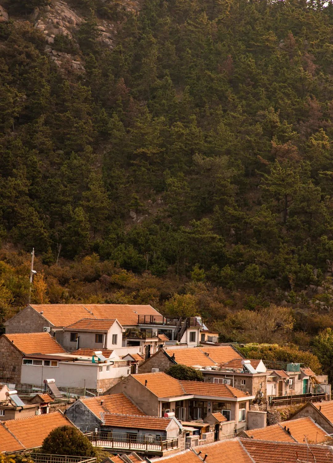 入住青岛问道劳山旅舍，问崂山之道，闻山海之美