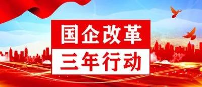 【李想集锦】㊱丨国企改革三年行动收官形势与突破重点研究报告