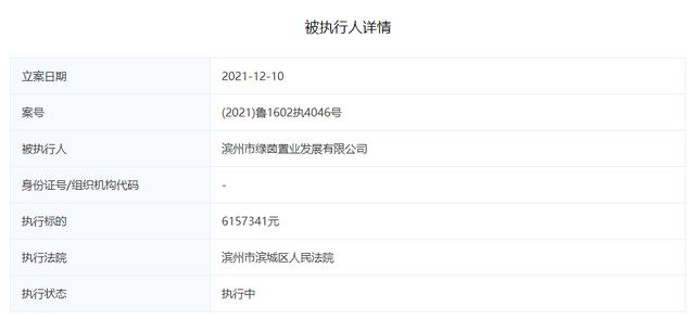 未经验收就交房，滨州绿茵·四季花城项目开发商被罚343万元