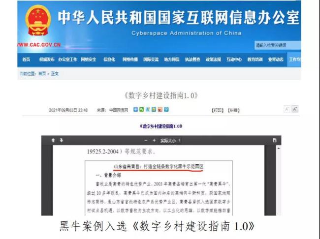 回顾淄博网信的2021年，各项工作取得积极成效