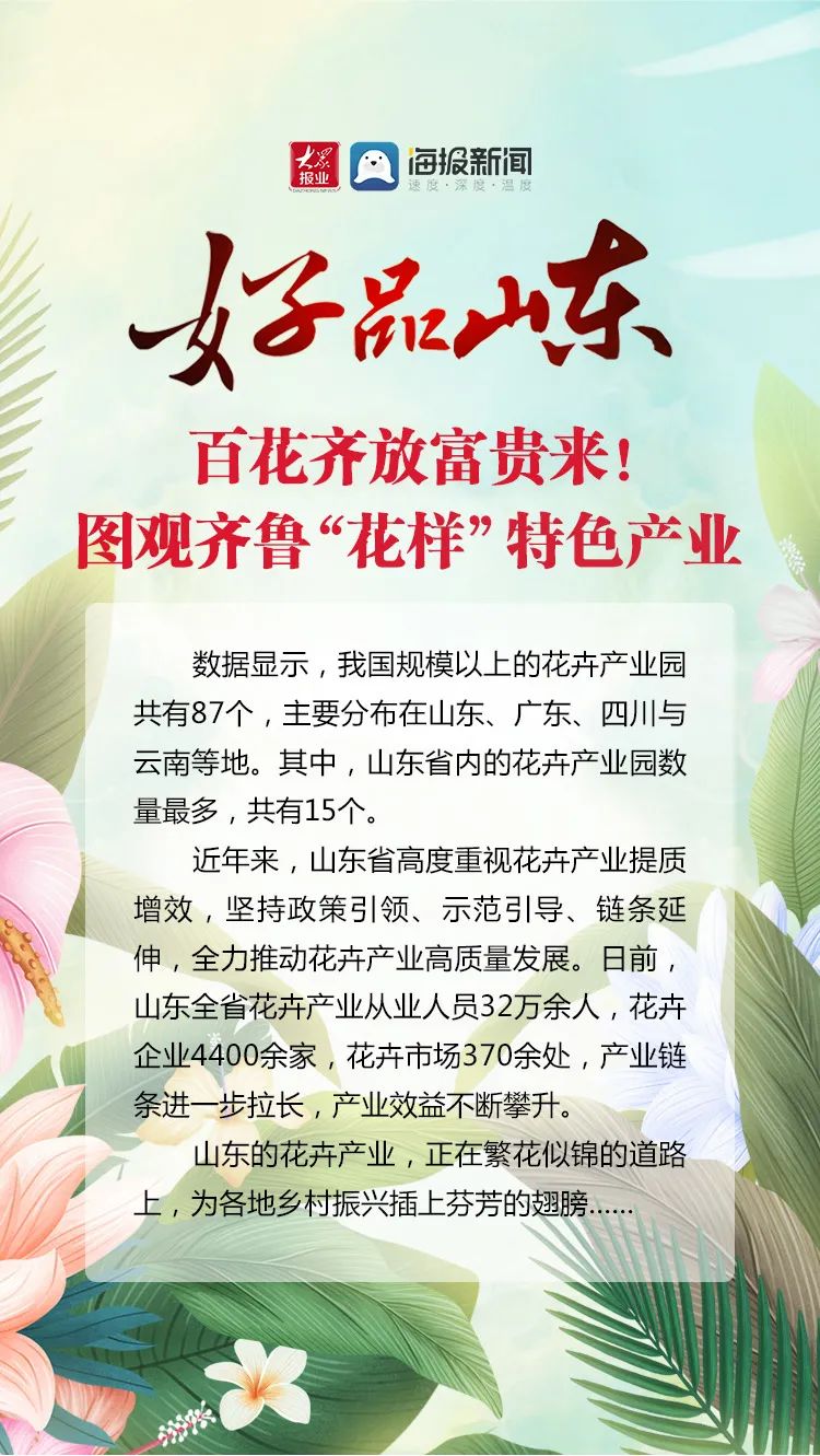 花齐放富贵来，图观齐鲁“花样”特色产业